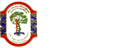 TOA | สมาคมออร์โธปิดิกส์แห่งประเทศไทย THE THAI ORTHOPAEDIC ASSOCIATION